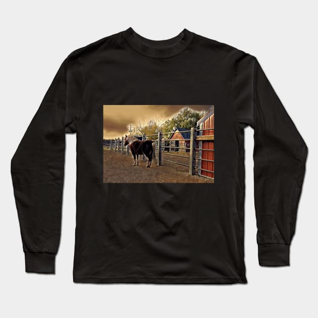 Small Horse and Barns 1B Long Sleeve T-Shirt by MaryLinH